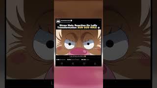 「 Straw Hats Reaction On Luffy Transformation SUN GOD NIKA 」- EDIT | #onepiece #shorts #luffy