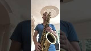 Zivert “Life”  Sirota Makar Sax cover