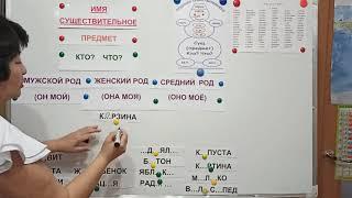 Обучение грамоте. 1 класс. Слова - предметы: мужского, женского, среднего рода.