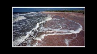Ukraine MFA explains why it impossible to nix deal with Russia on Azov Sea