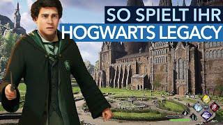 Für das neue Open-World-Spiel Hogwarts Legacy müsst ihr kein Harry-Potter-Profi sein!