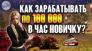 КАК ЗАРАБАТЫВАТЬ ПО 100.000 В ЧАС НОВИЧКУ? (MTA | PROVINCE RP)