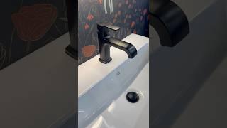 Recap of the Peerless Faucet booth from KBIS 2025!