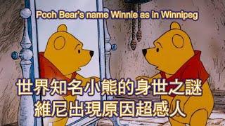 世界知名小熊維尼的身世之謎，維尼出現原因超感人! Winnie The Pooh; name Winnie as in Winnipeg