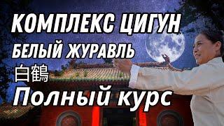 КОМПЛЕКС ЦИГУН Белый Журавль. ПОЛНЫЙ КУРС