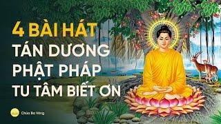 4 bài hát tán dương Phật Pháp, tu tâm biết ơn | Nhạc Phật giáo | chùa Ba Vàng