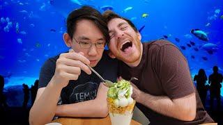 I handcuffed Parkzer and dragged him to an aquarium (in New Zealand)