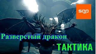 Dark Souls, Разверстый дракон, ТАКТИКА, способ убийства, советы, как убивать.