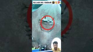 #Power of #Allah #shorts #islam #youtube #shortsfeed