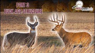 Buck Harvest Strategies Part 3