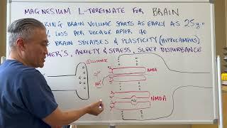 Best Magnesium for BRAIN----Magtein Magnesium L-Threonate