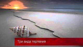 Три вида терпения - Надир абу Халид