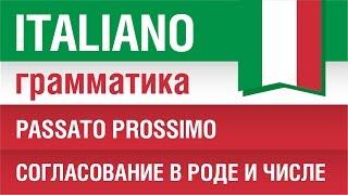 8/20. Итальянский язык. Прошедшее время Passato prossimo Согласование в роде и числе. Елена Шипилова