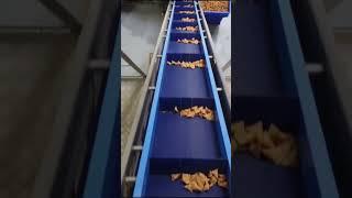 Paddies Snacks making process | #TechFinder