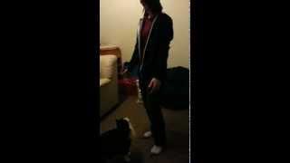 Sassy does 'Trick'