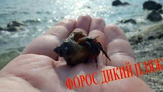 Нудистский пляж в Форосе. Успеть увидеть всё. Nudist beach in Foros.Have time to see everything.