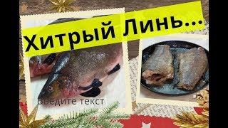 ЛИНЬ! САМЫЙ ЛУЧШИЙ СПОСОБ ПРИГОТОВЛЕНИЯ РЫБЫ ЛИНЬ!!! ENG SUB