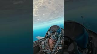 Don't flip your phone - this pilot got you covered!