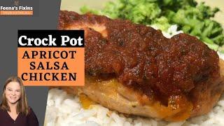 Crock Pot Apricot Salsa Chicken - Minimal ingredients and DELICIOUS!!