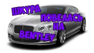 Шкура повелась на Бентли и была наказана   Bentley Prank 11