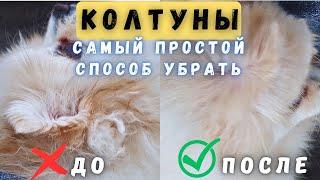 Как быстро и легко расчесать колтуны у собаки Уход за шпицем