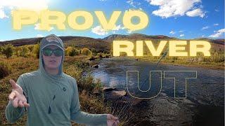 UTAH FLY FISHING // PROVO RIVER