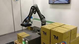 iREX 2019 - Techman Robot - TM Studio - Palletizing Wizard