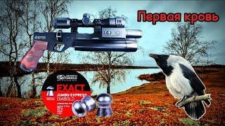 Кроухантинг: Поздняя Осень , Корсар 240 из Коробки (Первая кровь)Riderman Crowhunting