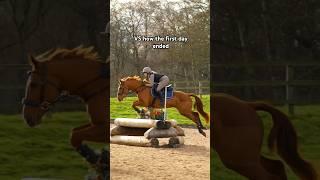 From rearing to flying #equestrian #showjumping #crosscountry
