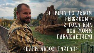 СУДЬБА ШЕРХАНА, СОСТОЯНИЕ РОДИВШЕЙ ЛЬВИЦЫ, РЫЖИК  - обсуждение самых волнующих тем парка Тайган