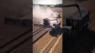 Fendt ideal 10T + Fendt1050 vídeo edit