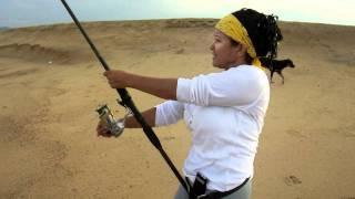 JACK CREVALLE-  Surf Fishing