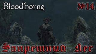 BloodBorne Прохождение, тактика и секреты - #14 Запретный Лес