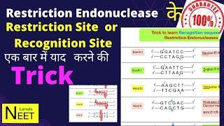 Trick to Learn Restriction Site| Biotech Tricks NEET | Biotech mnemonic | Biotechnology Tricks NEET