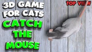 3D game for cats | CATCH THE MOUSE (top view)