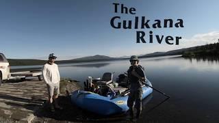 Gulkana River Float Fishing