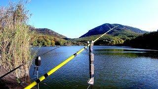 на рыбалке с другом,поймали много карпов