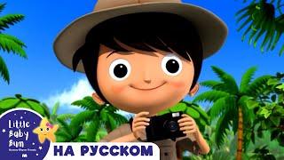 Давай Найдем Льва! | Новые Песенки Для Детей и Малышей | Little Baby Bum Russian