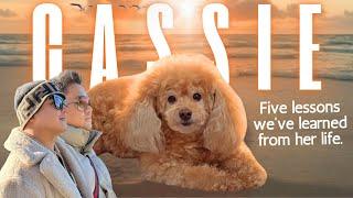 Episode 18 | In Memoriam: Cassie's First Year in Heaven | Lessons That We Have Learned from Her Life
