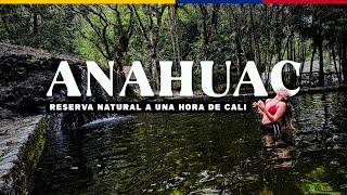 Reserva Natural ANAHUAC | Plan Económico a UNA HORA de Cali