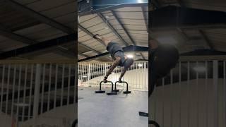 Throw the whole kitchen sink session #calisthenics #shorts #strengthtraining #pushday #pullday