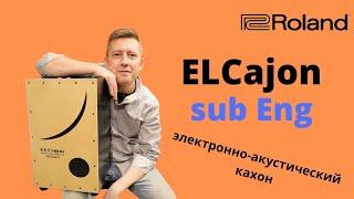 Обзор электронно-акустического кахона || Roland ELCajon (EC-10)