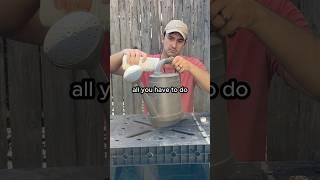 How to apply fish emulsion fertilizer #shorts