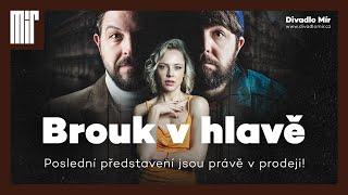 Brouk v hlavě | Poslední představení jsou právě v prodeji! | Divadlo Mír