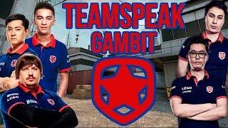 Teamspeak Gambit против Astralis на DreamHack Masters Malmö 2017