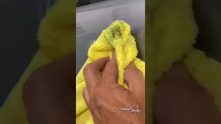 Glue Pulling Car Dents Out - A PDR Technique #paintlessdentrepair #gluepulling