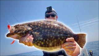 BIG Ocean Fluke on the NEW JETSKI! (inshore reef fishing)