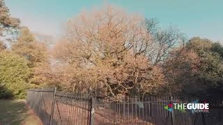 Walk through Calderstones Park | The Guide Liverpool