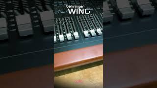 베링거 WING Black 역시, 사진보다 실물이 더 멋짐