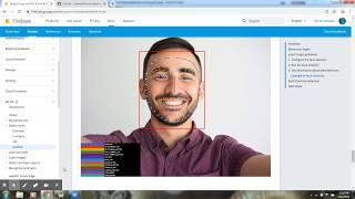 Face detection in android using firebase ml kit